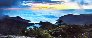 生物多樣性保護(hù)